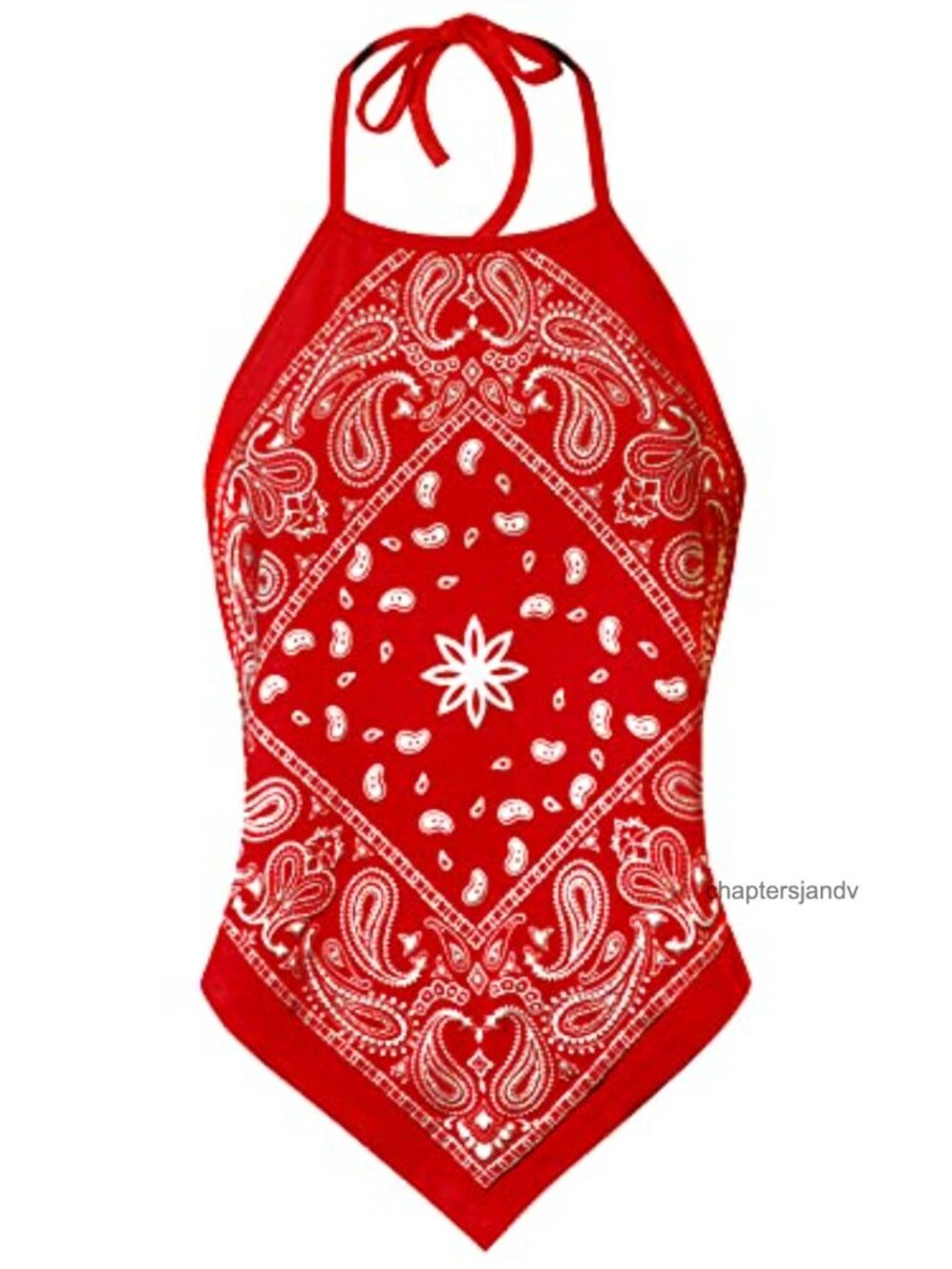 Y2K Paisley Bandana Halter Crop Top Backless